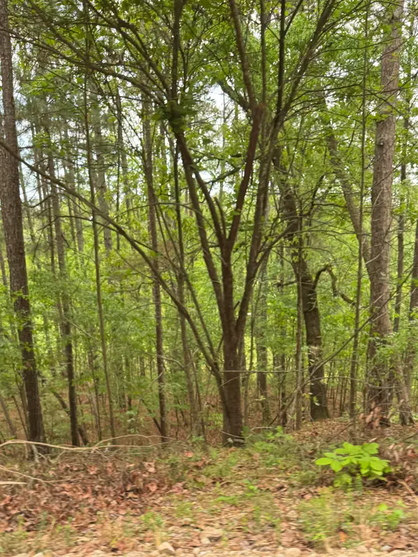 Address Withheld By Seller, Hot Springs, AR 71913