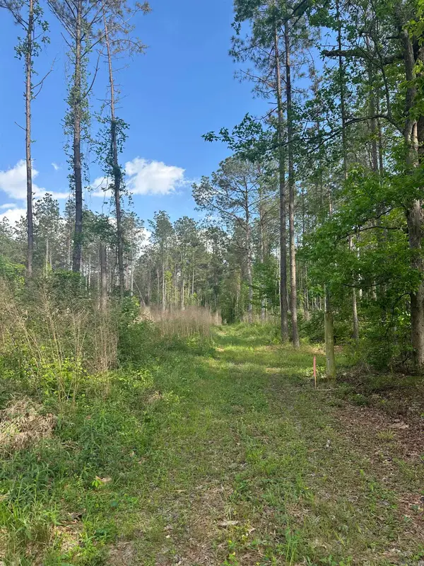 Hwy 67, Malvern, AR 72104