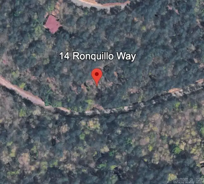 14 Ronquillo Way, Hot Springs Village, AR 71909 - #1