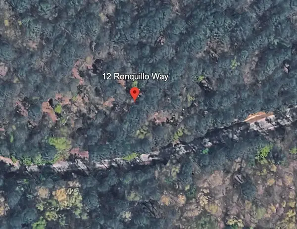 12 Ronquillo Way, Hot Springs Village, AR 71909