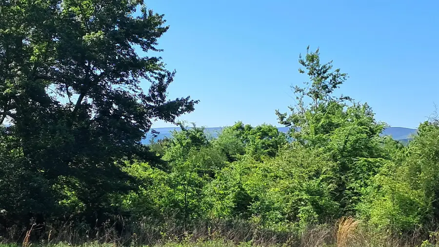 160 Polk Road 47, Mena, AR 71953 - #2