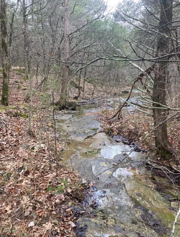 TBD Lot 21 Fawn Ridge Lane, Williford, AR 72482