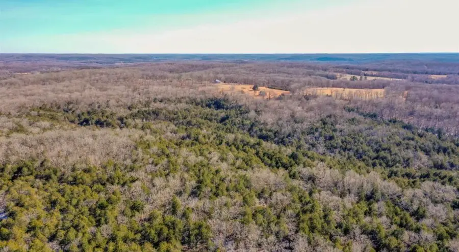 TBD Lot 21 Fawn Ridge Lane, Williford, AR 72482 - #2