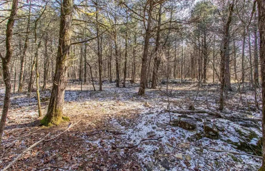TBD Lot 21 Fawn Ridge Lane, Williford, AR 72482 - #3