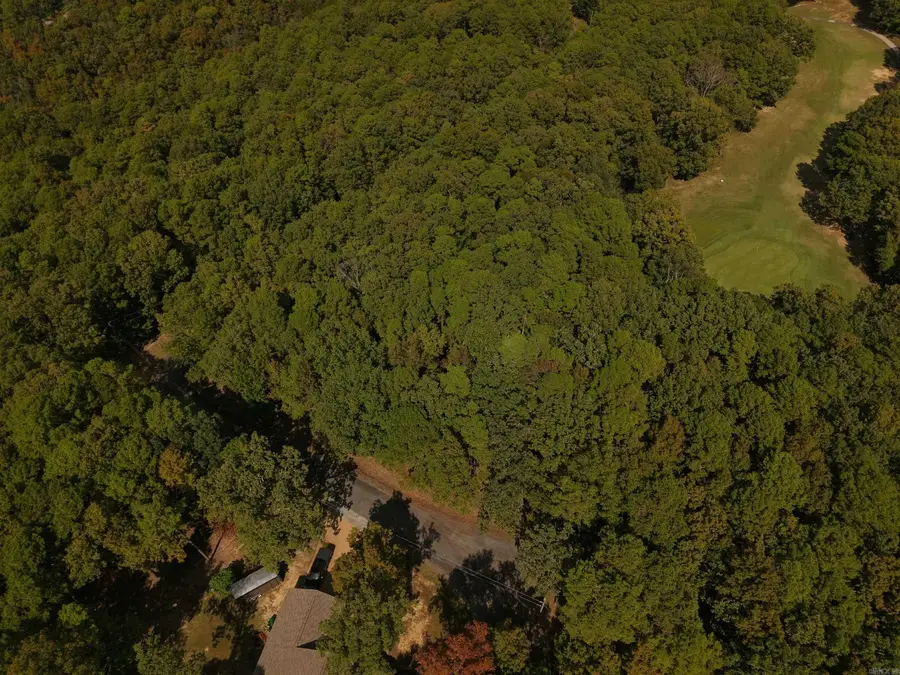 Lot 384 Block 4 Crystal Hill Court, Fairfield Bay, AR 72088 - #3