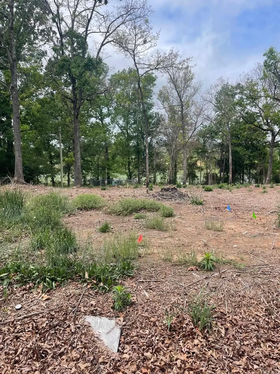 30 Dam Road, Mayflower, AR 72106 - #3