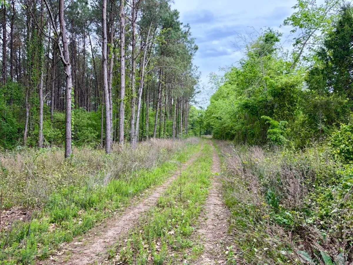 Address Withheld By Seller, Dardanelle, AR 72834 - #1