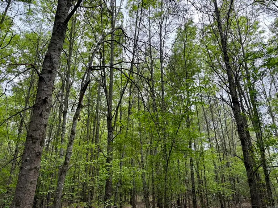 Address Withheld By Seller, Dardanelle, AR 72834 - #3