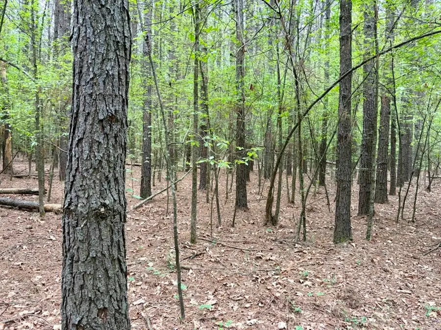 Address Withheld By Seller, Dardanelle, AR 72834 - #3