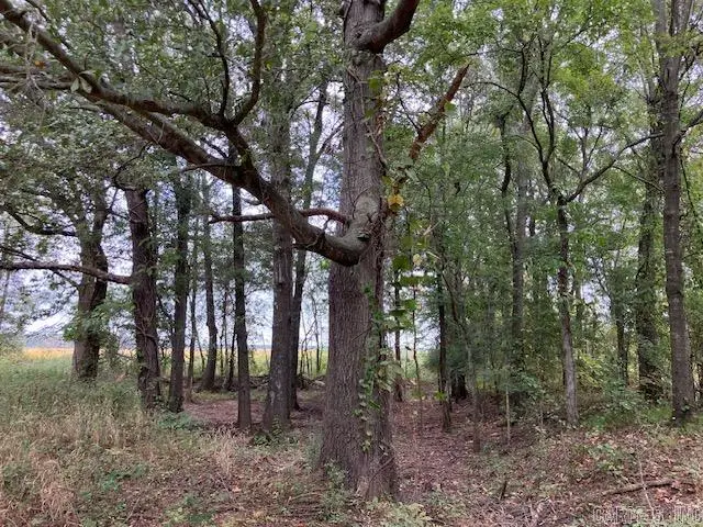 TBD Cox Rd., Biggers, AR 72413 - #3