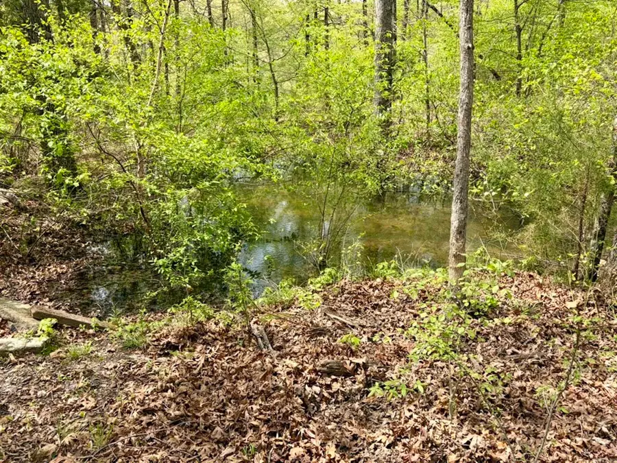 Address Withheld By Seller, Scotland, AR 72141 - #3