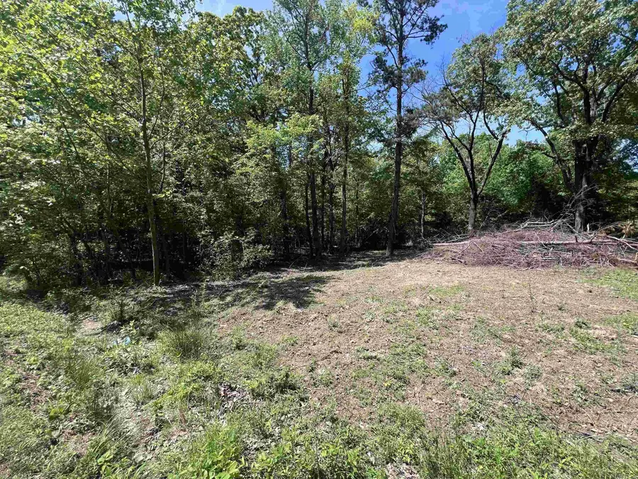 0 Kanis Road, Paron, AR 72122 - #2