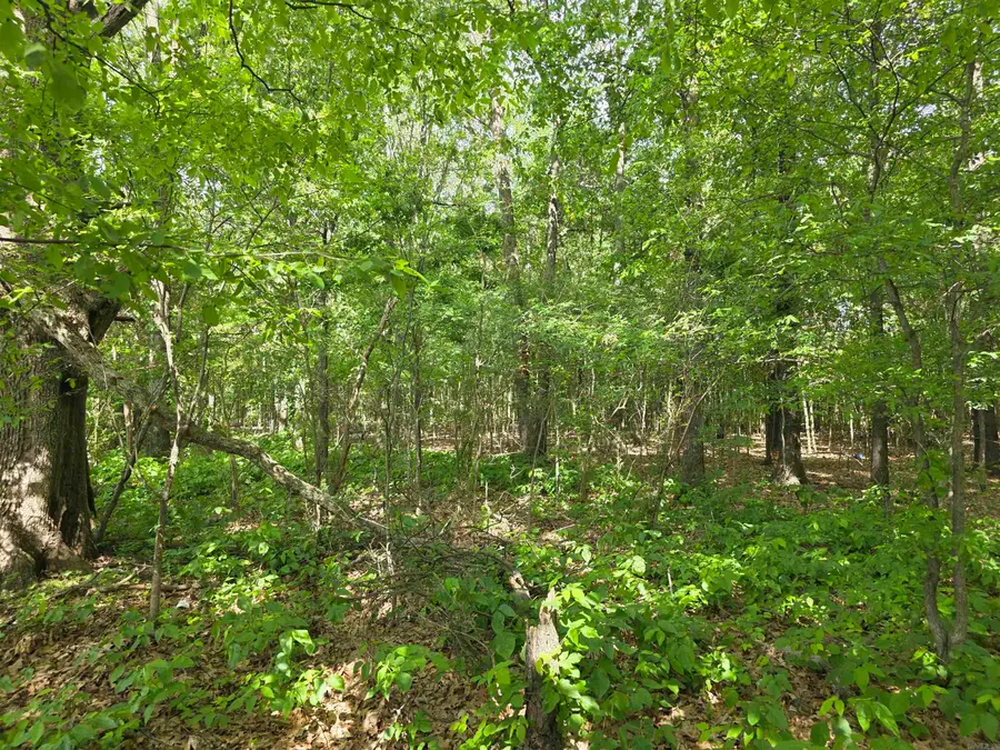 0 15th Ave, Paragould, AR 72450 - #3