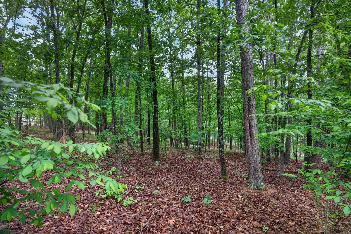 38 Belleza Trace, Hot Springs Village, AR 71909 - #1
