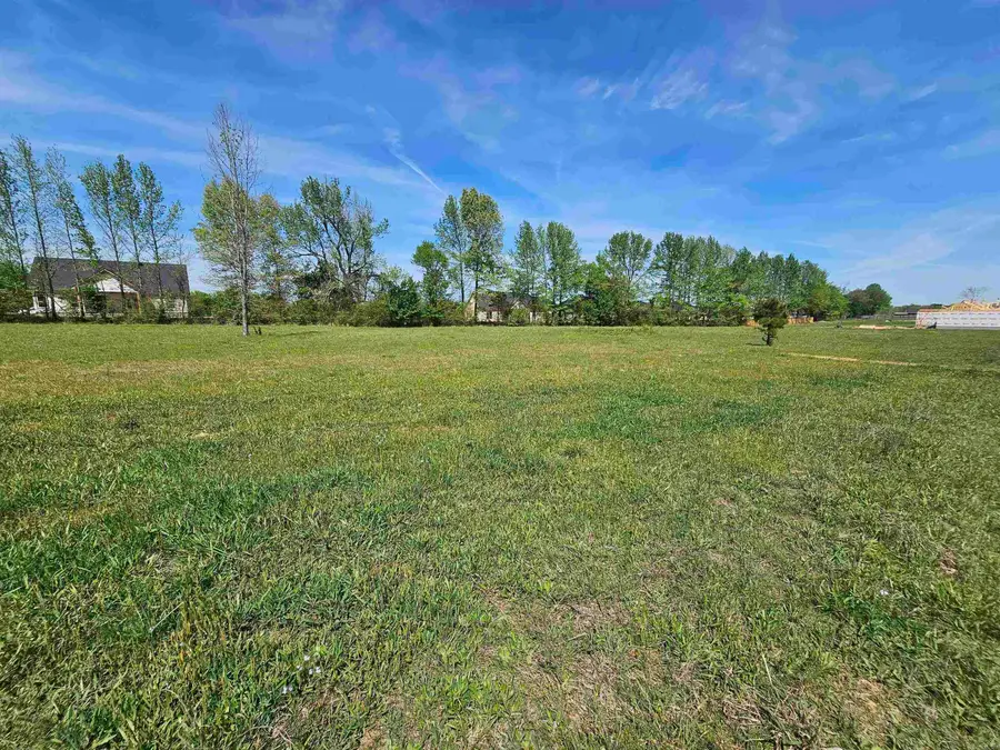 40 Crescent Cove, Ward, AR 72176 - #2