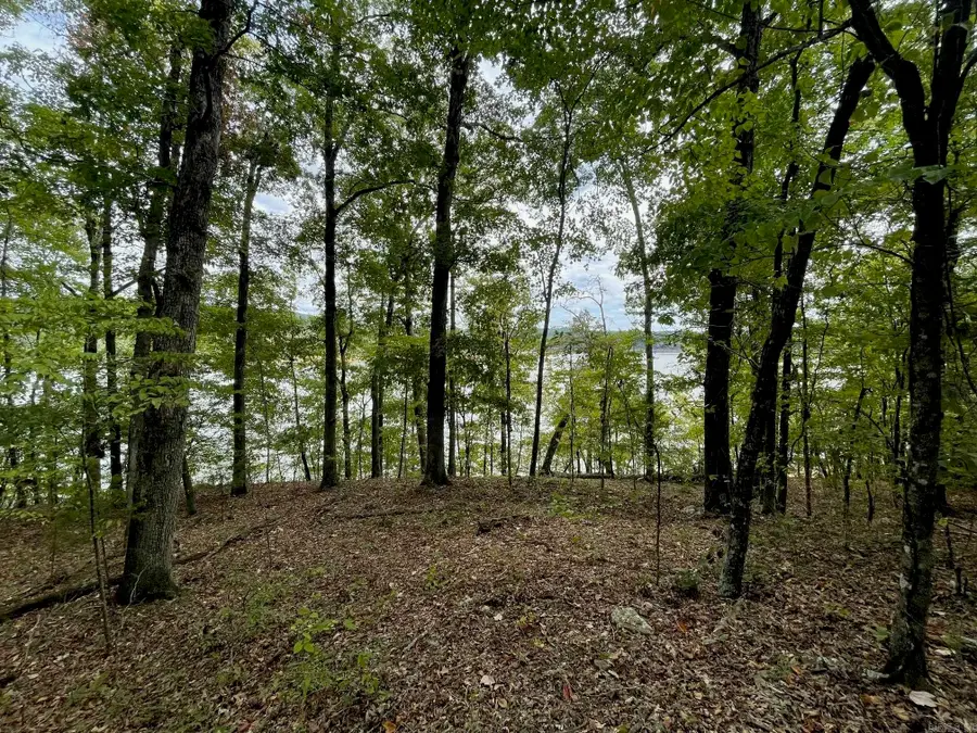 00 Angel Way, Clinton, AR 72031 - #3