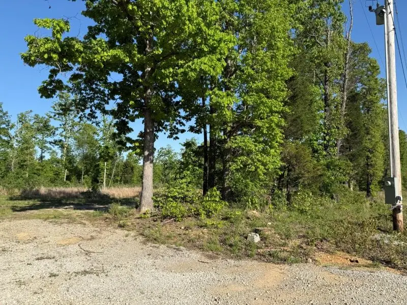 260 Highway 63, Ravenden, AR 72459 - #3