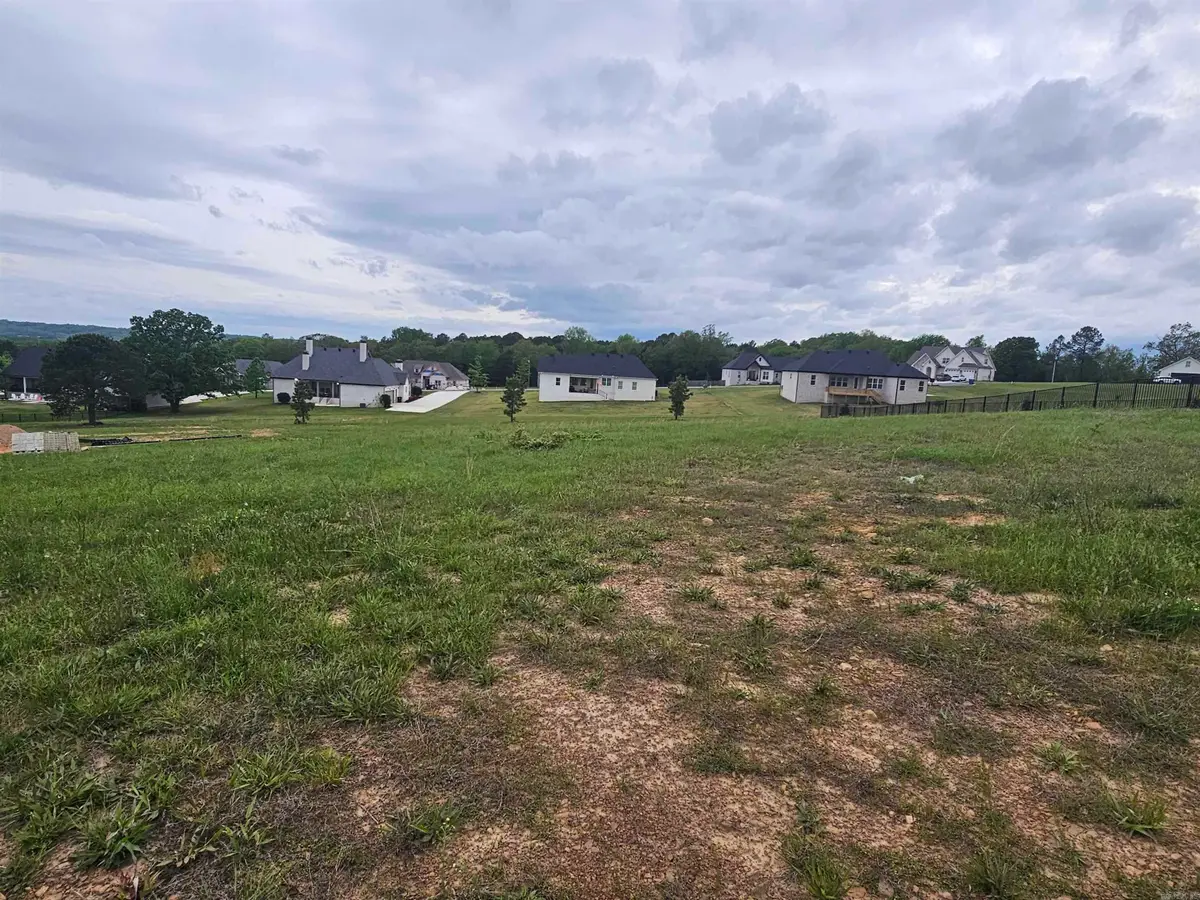 19 Bella View Drive, Greenbrier, AR 72058 - #1