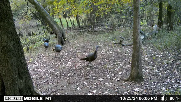 Address Withheld By Seller, Pine Bluff, AR 71601