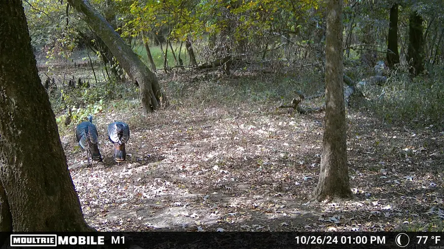 Address Withheld By Seller, Pine Bluff, AR 71601 - #2