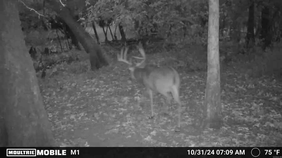 Address Withheld By Seller, Pine Bluff, AR 71601 - #3