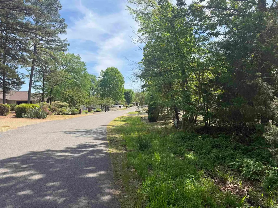 49 Marinero Way, Hot Springs Village, AR 71909 - #3