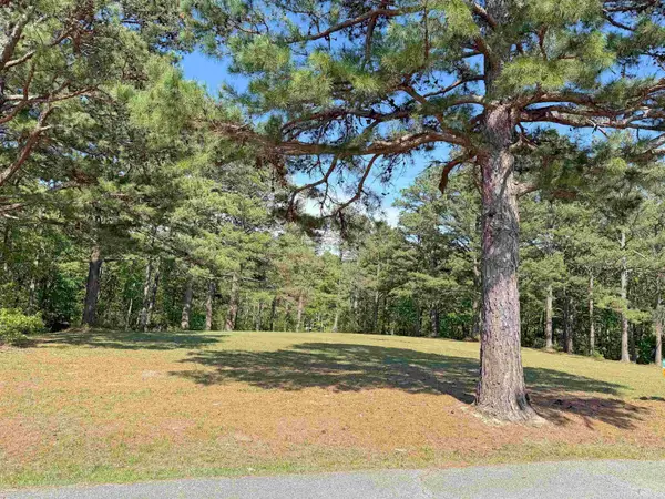 Lot 27 & 28 Tournament Dr., Mountain View, AR 72560