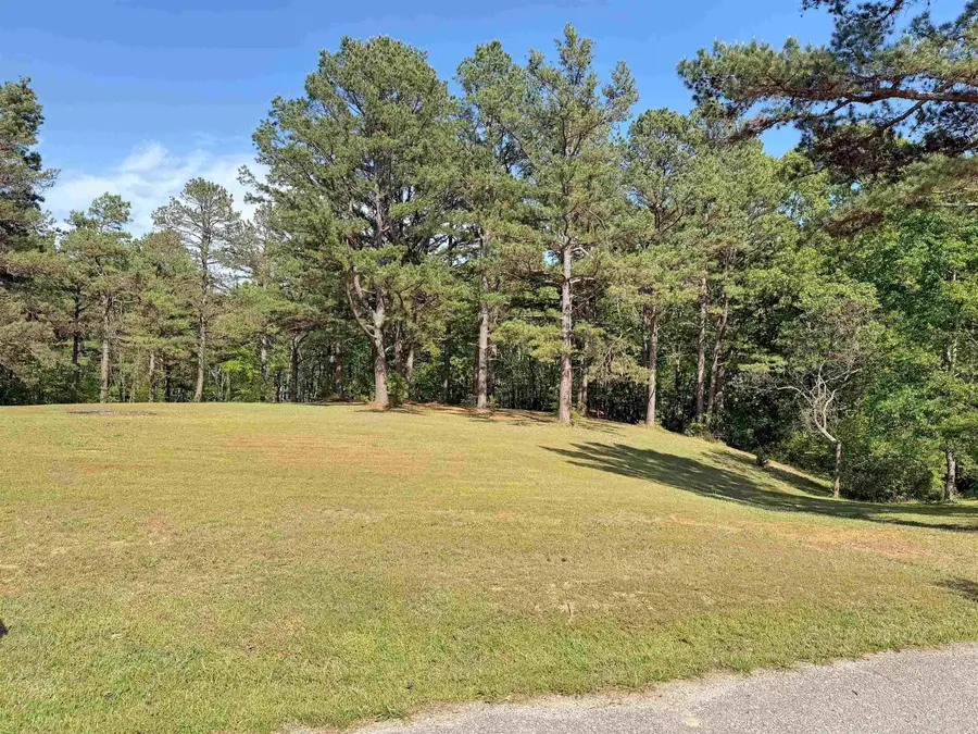 Lot 27 & 28 Tournament Dr., Mountain View, AR 72560 - #2