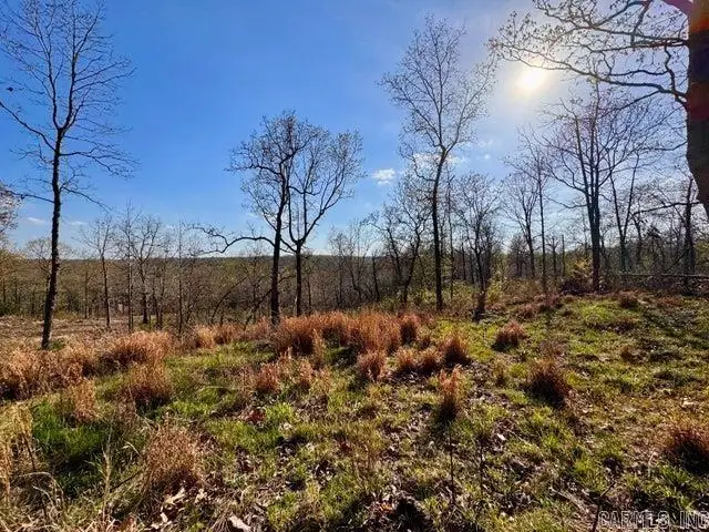Address Withheld By Seller, Cave City, AR 72521 - #1