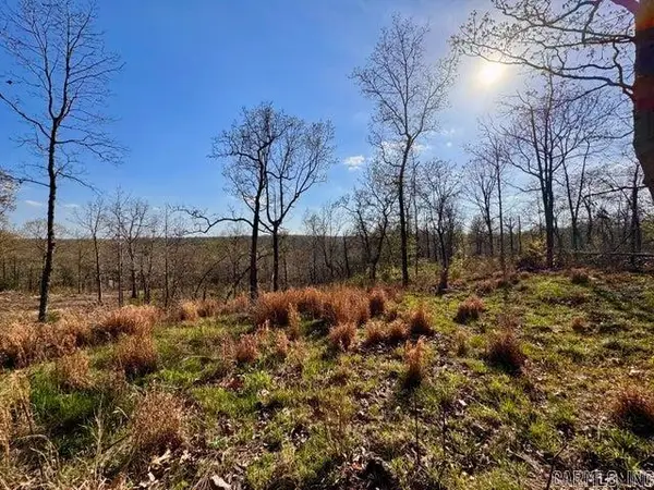Address Withheld By Seller, Cave City, AR 72521