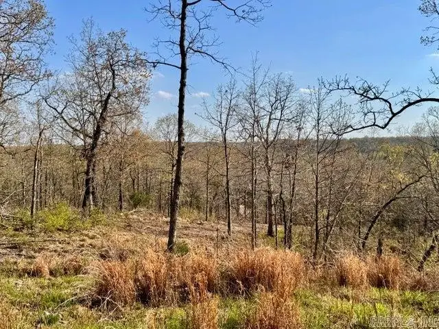 Address Withheld By Seller, Cave City, AR 72521 - #2
