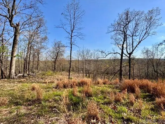 Address Withheld By Seller, Cave City, AR 72521 - #3