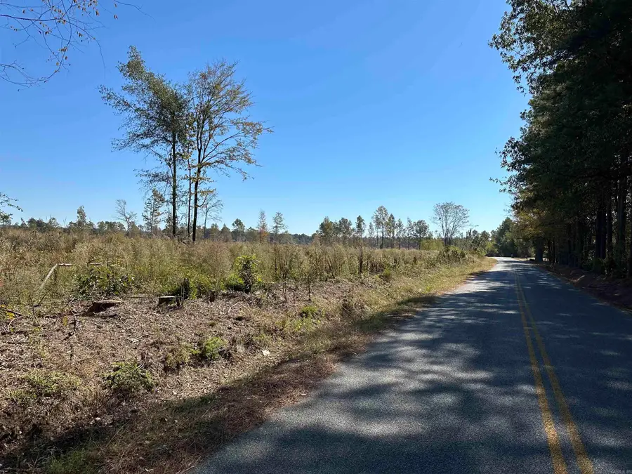 28-9-8 Freedom Rd, Star City, AR 71667 - #3