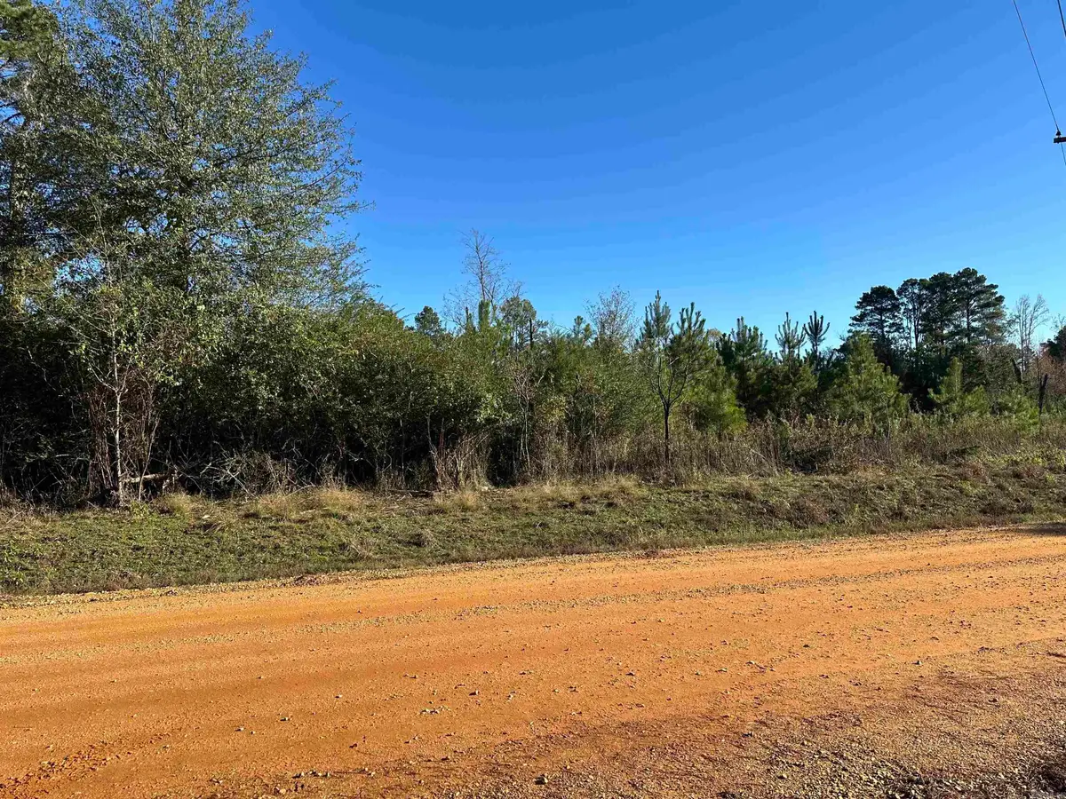 29-13-10 S Judge Roberts Rd, Warren, AR 71671 - #1