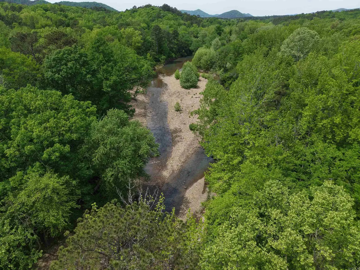XXX Bear Den Lane, Caddo Gap, AR 71935 - #1