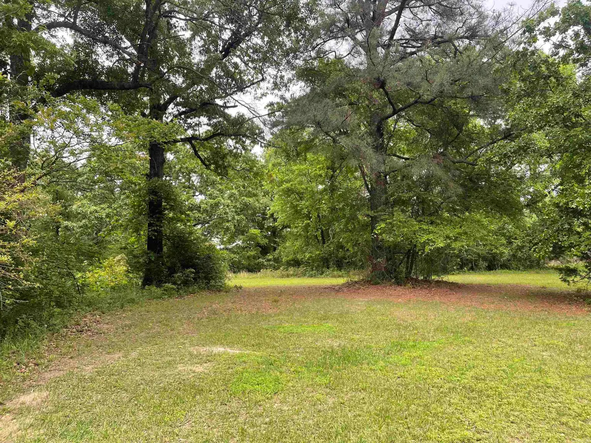 TBD N Ninth Street, De Queen, AR 71832 - #1