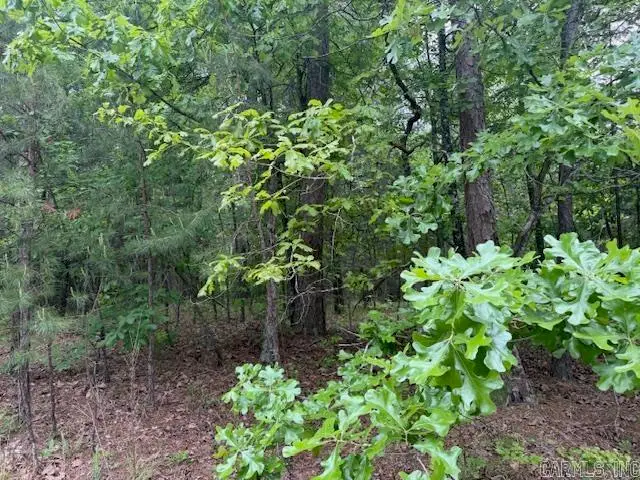 28 Brillante Lane, Hot Springs Village, AR 71909 - #1