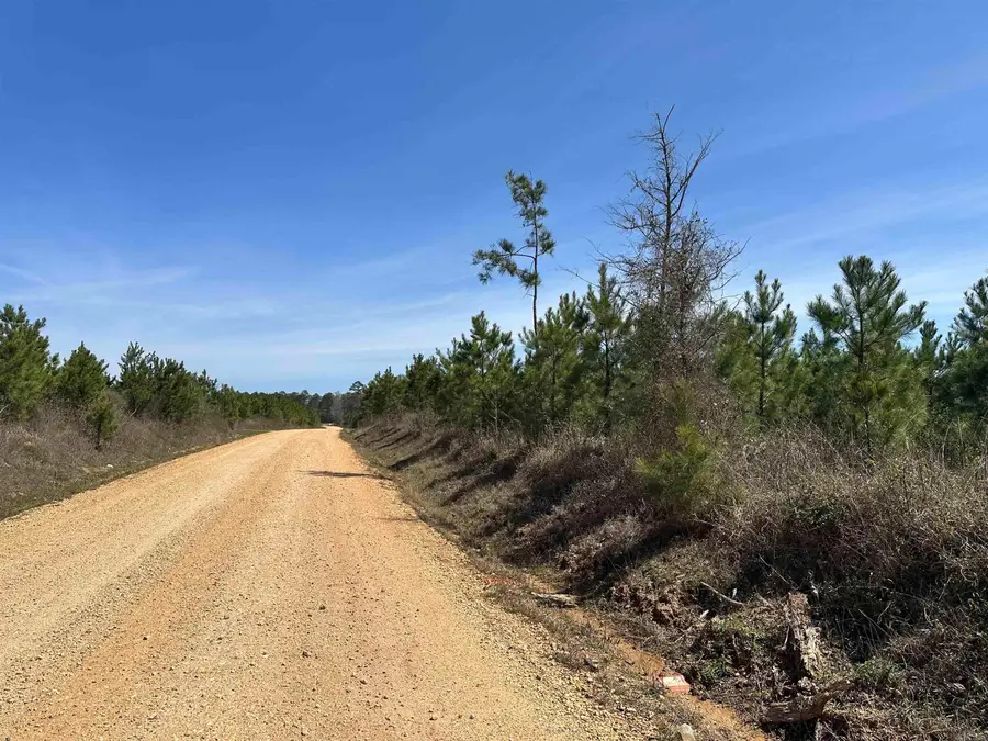 15-15-8 Drew Cr 1, Fountain Hill, AR 71642 - #2