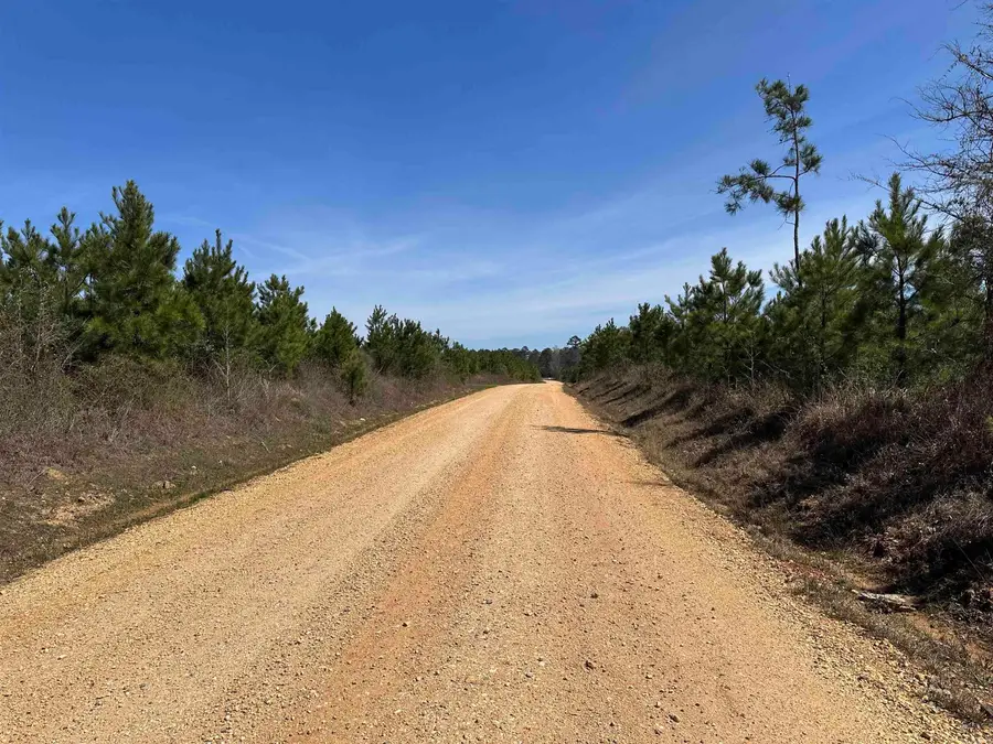 15-15-8 Drew Cr 1, Fountain Hill, AR 71642 - #3