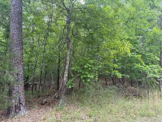 46 Campeon Way, Hot Springs Village, AR 71909 - #2