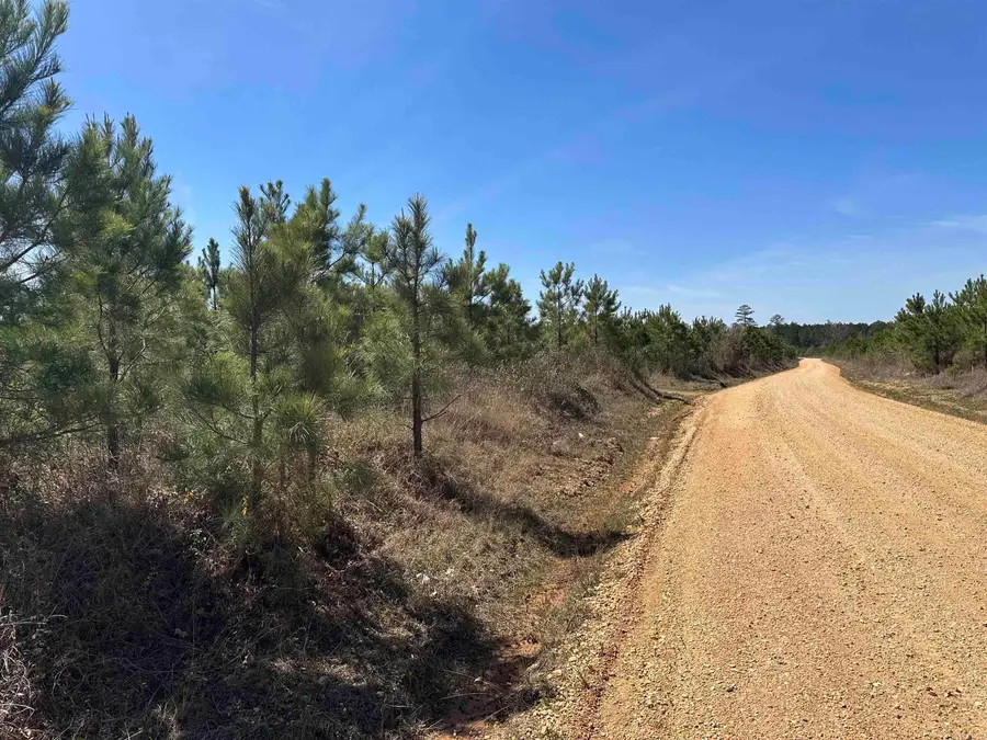 15-15-8 Ar State Hwy 133, Fountain Hill, AR 71642 - #3