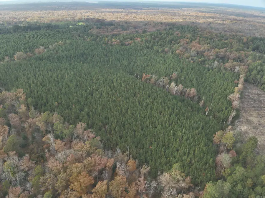 24-11-19 Ouachita Cr 75, Chidester, AR 71726 - #2