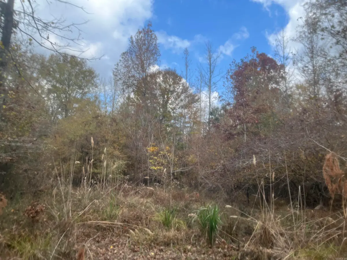 9-19-18 Salem Cemetery Rd, El Dorado, AR 71730 - #1