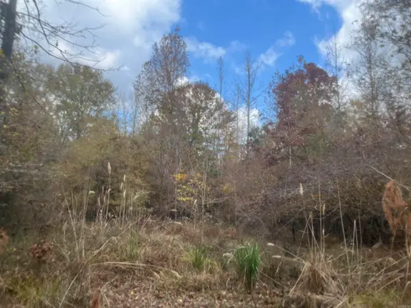 9-19-18 Salem Cemetery Rd, El Dorado, AR 71730