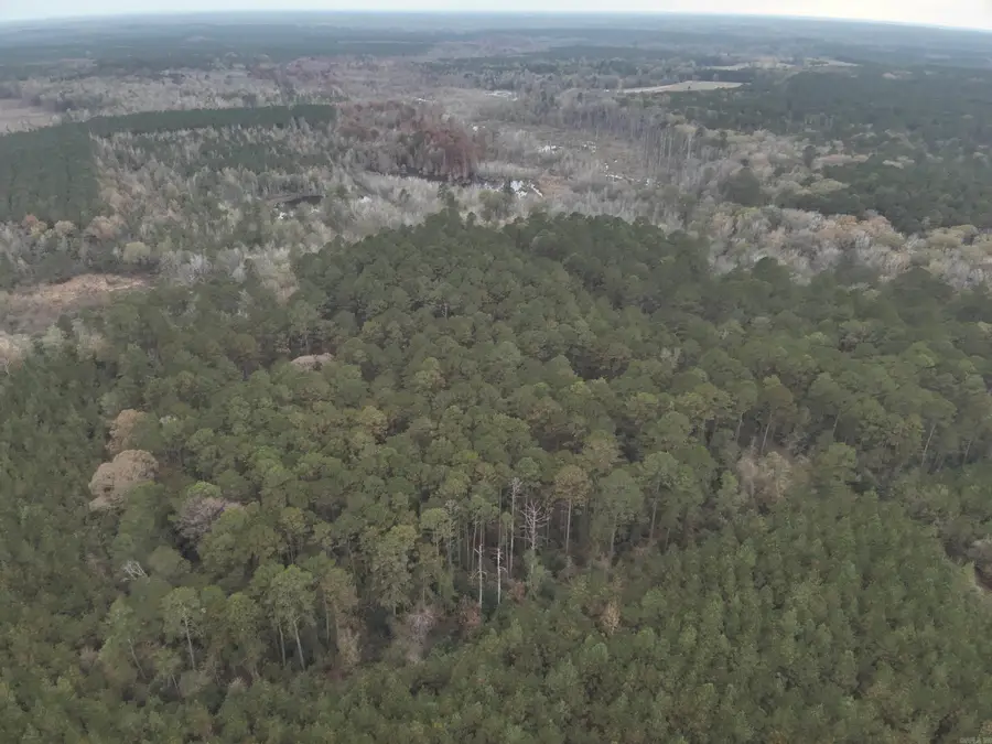 11-19-14 Hibanks Rd, Strong, AR 71765 - #2