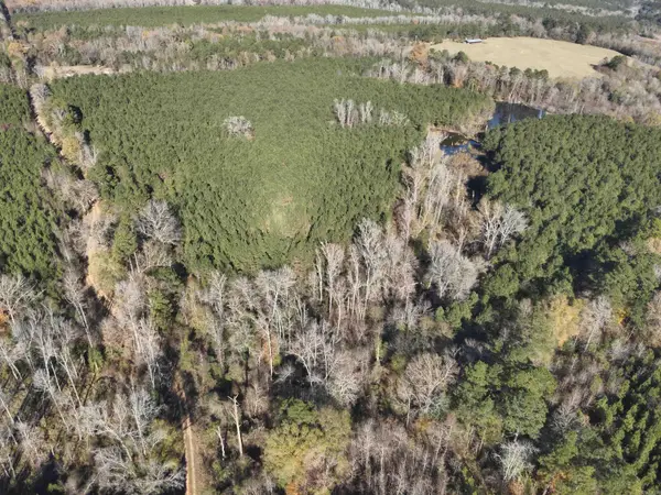 28-14-22 Nevada Cr 141, Rosston, AR 71858