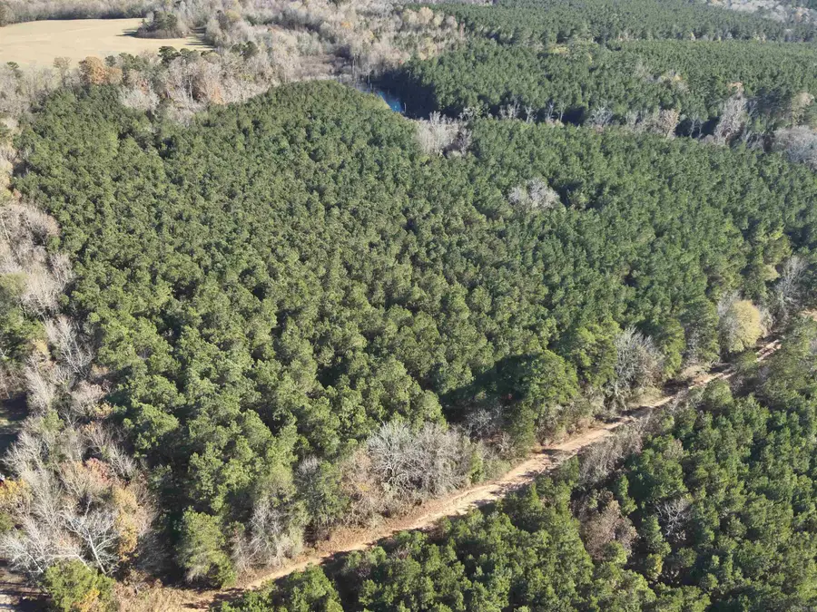 28-14-22 Nevada Cr 141, Rosston, AR 71858 - #2