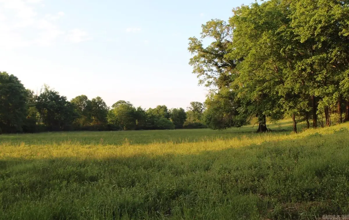 299 Harmony Lane, Amity, AR 71921 - #1
