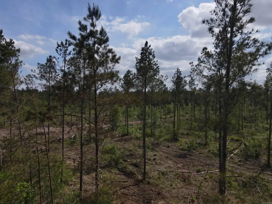 Address Withheld By Seller, Hamburg, AR 71646 - #3