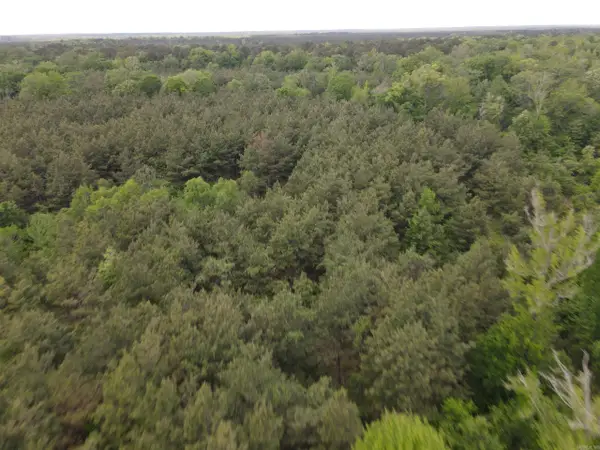 Address Withheld By Seller, Hamburg, AR 71646